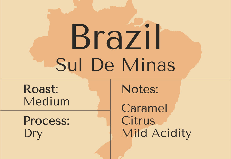 Brésil Sul de Minas 160 doses